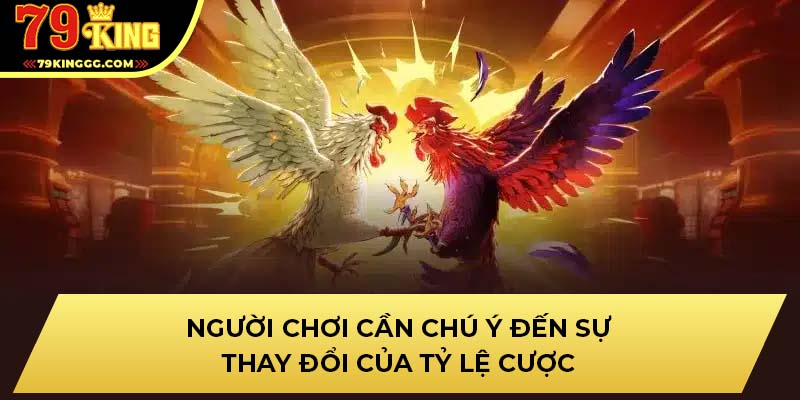 Người chơi cần chú ý đến sự thay đổi của tỷ lệ cược
