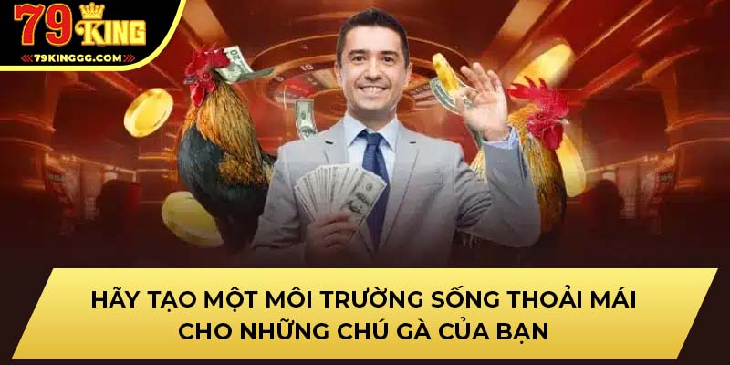 Hãy tạo một môi trường sống thoải mái cho những chú gà của bạn